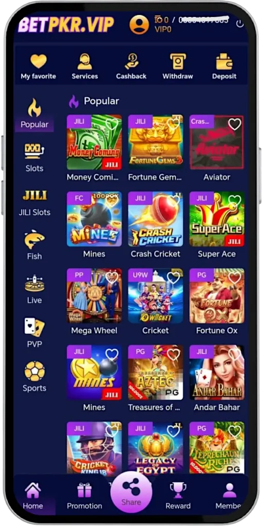 Betpkr Game online casino and earning platform in Pakistan